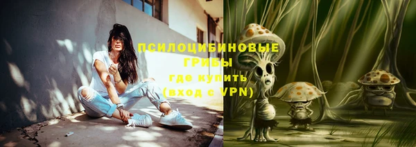 соль ск Алексин