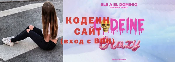 прущие грибы Алзамай