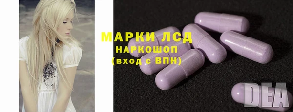 прущие грибы Алзамай