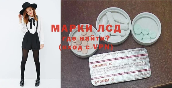 прущие грибы Алзамай