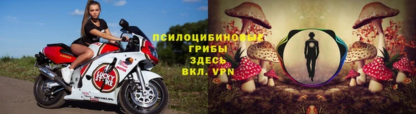 прущие грибы Алзамай