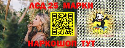 ГАЛЛЮЦИНОГЕННЫЕ ГРИБЫ Свободный