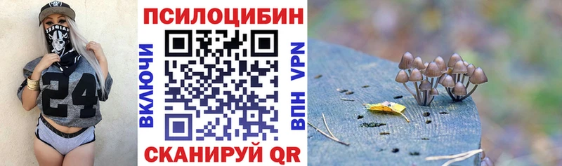 наркошоп  Старая Купавна  Галлюциногенные грибы Magic Shrooms 