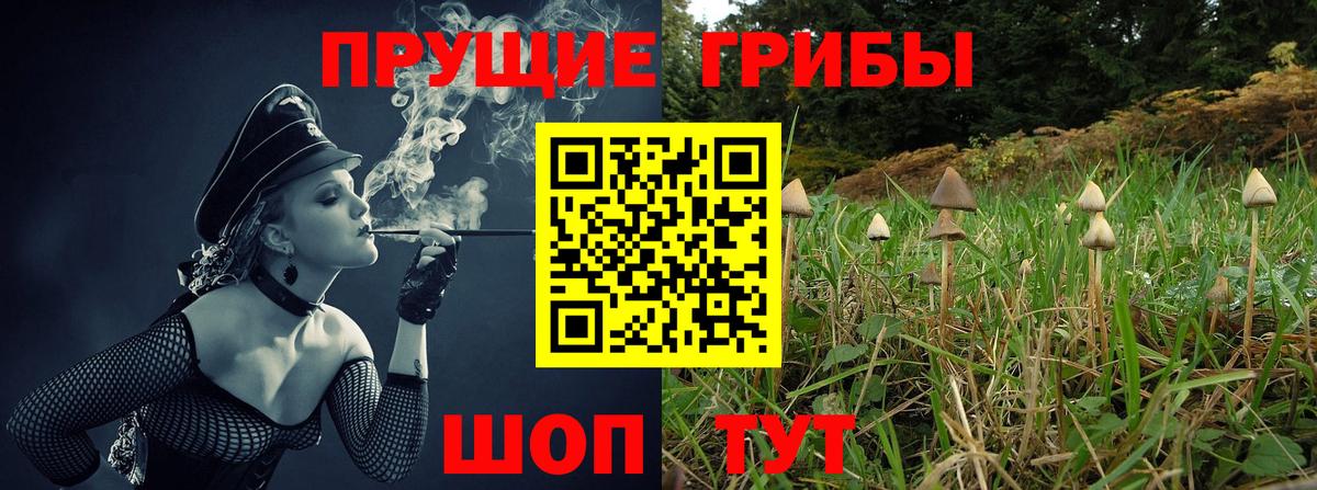 Галлюциногенные грибы Magic Shrooms Старая Купавна
