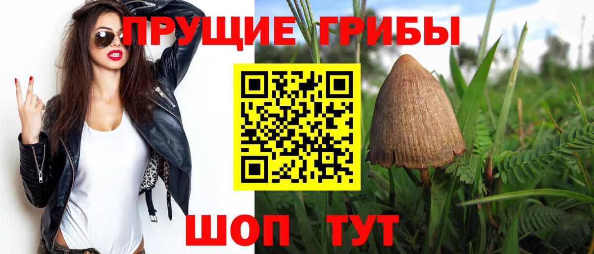 Старая Купавна  Галлюциногенные грибы ЛСД  Вход с VPN 